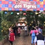 FESTA JUNINA ARRAI DOS TIGRES