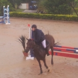 SALTO EQUESTRE - HARAS COOPER - PISTA DE AREIA